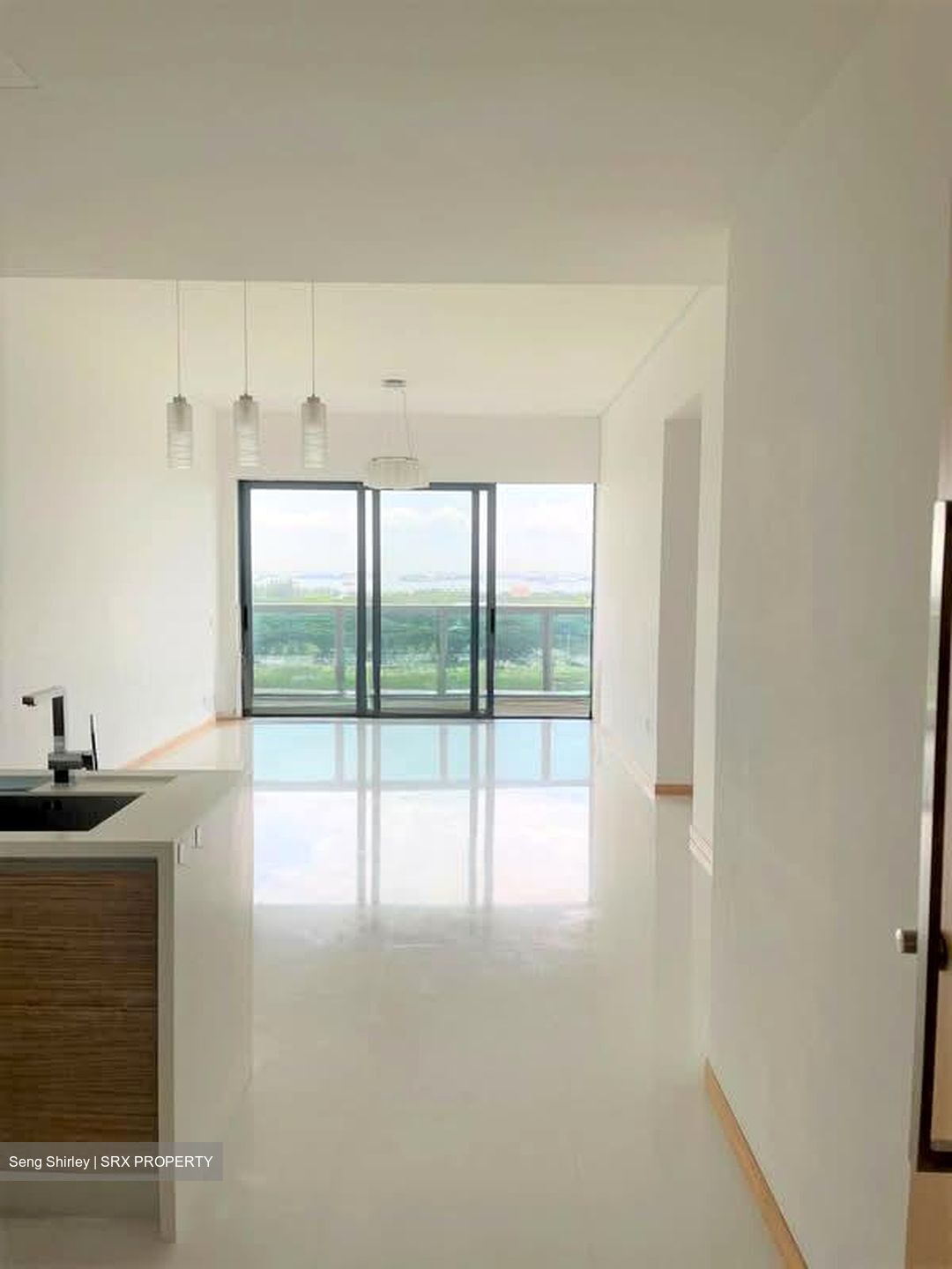 Marina Boulevard (D1), Condominium #566720391